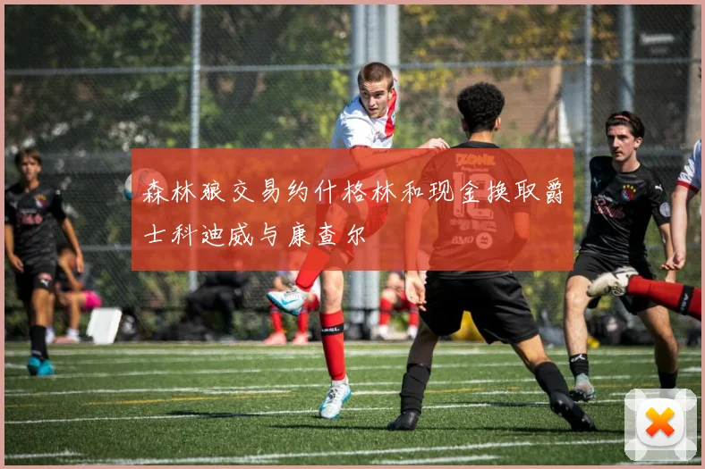 森林狼交易约什格林和现金换取爵士科迪威与康查尔