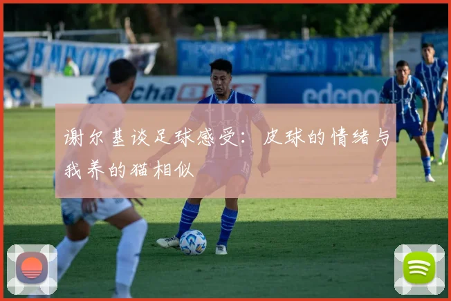 谢尔基谈足球感受：皮球的情绪与我养的猫相似
