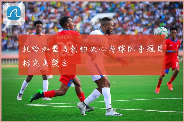 托哈加盟马刺的决心与球队夺冠目标完美契合